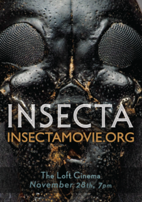 The "Insecta" film poster The "Insecta" film poster